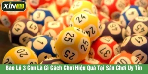 bao lô 3 con là gì