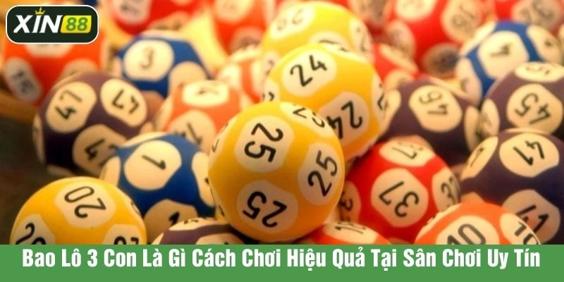 bao lô 3 con là gì