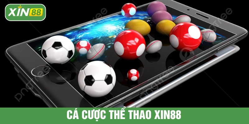 Cá cược thể thao XIN88