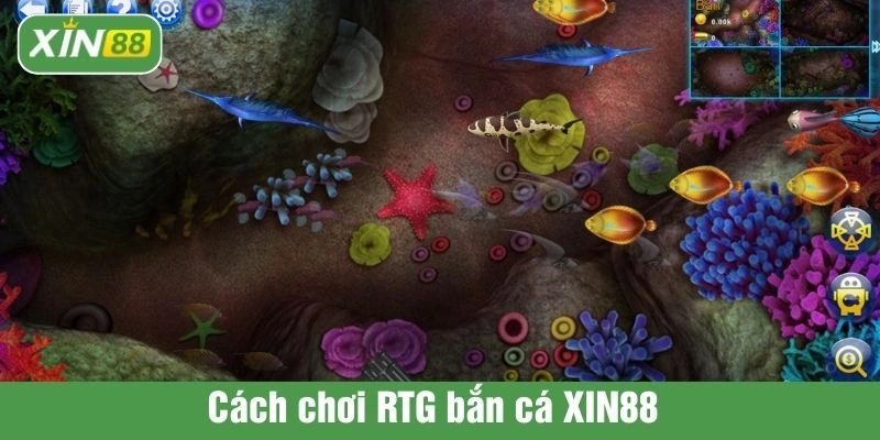 Cách chơi RTG bắn cá XIN88