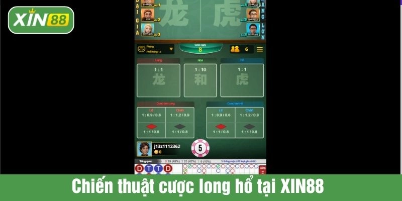 Chiến thuật cược long hổ tại XIN88