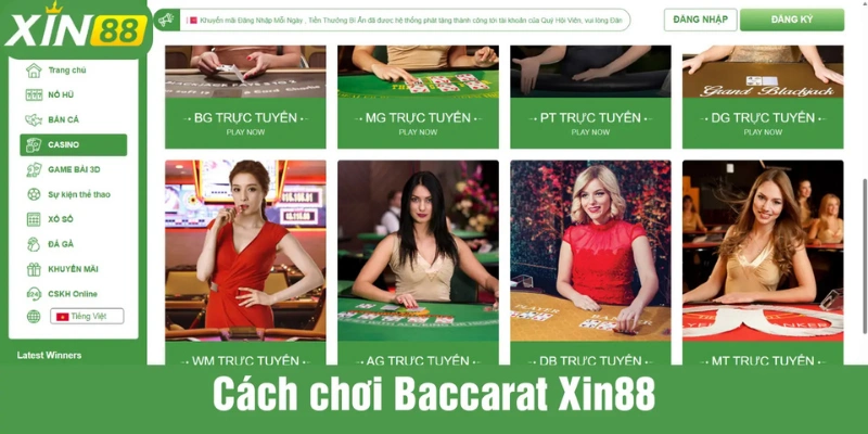Bạn nên sử dụng công cụ chơi baccarat XIN88