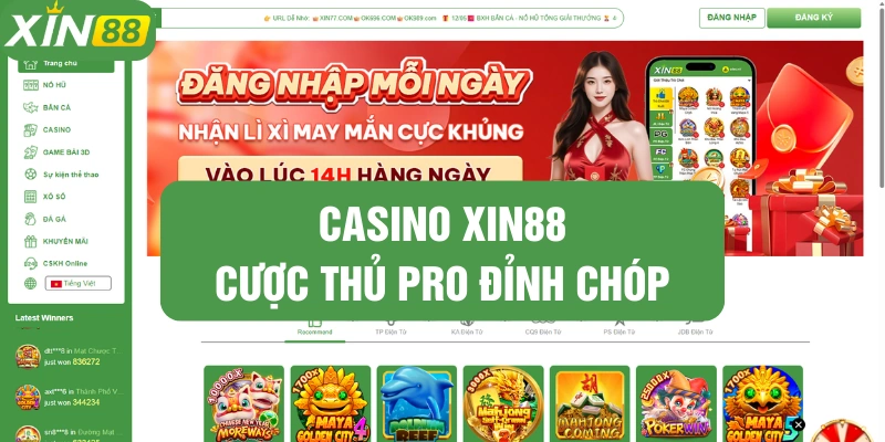 Để trở thành cược thủ pro bạn cần rất nhiều yếu tố