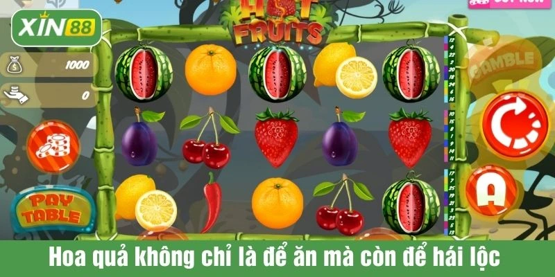 Hoa quả không chỉ là để ăn mà còn để hái lộc