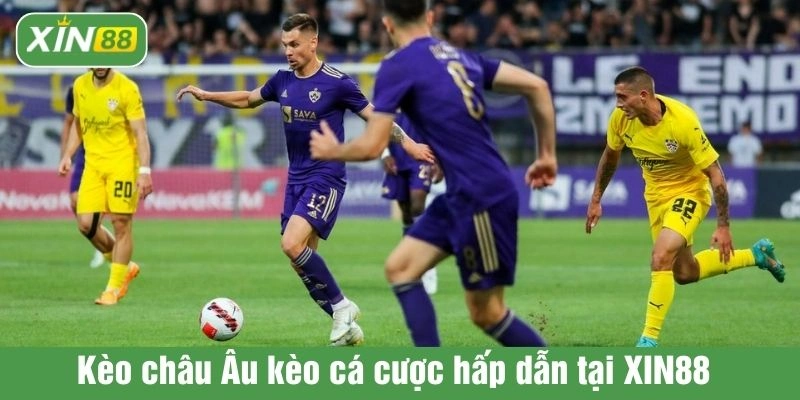 Kèo châu Âu kèo cá cược hấp dẫn tại XIN88