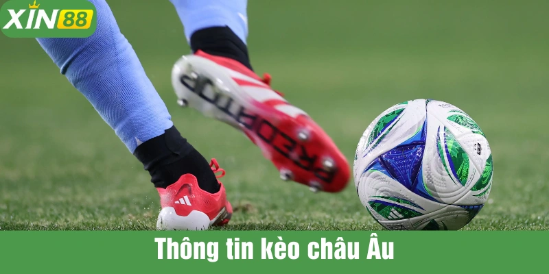 Kèo Châu Âu được nhiều người lựa chọn vì đơn giản