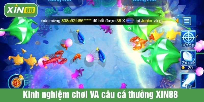 Kinh nghiệm chơi VA câu cá thưởng XIN88 