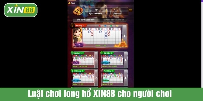 Luật chơi long hổ XIN88 cho người chơi