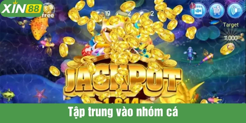 Nên tập trung vào một đàn xác định không nên bắn lung tung