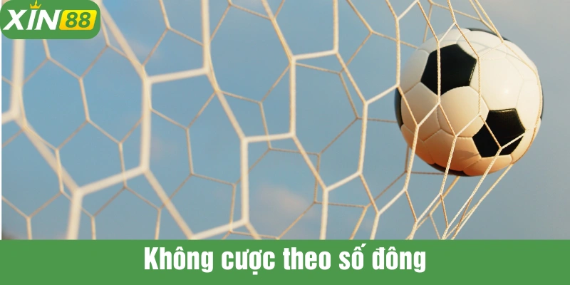 Đám đông đi sao nên đi ngược ngược là chiến thuật thông minh