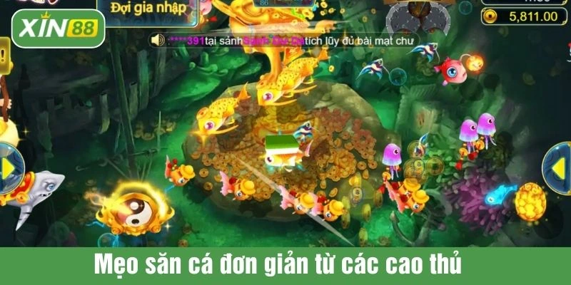 Mẹo săn cá đơn giản từ các cao thủ  