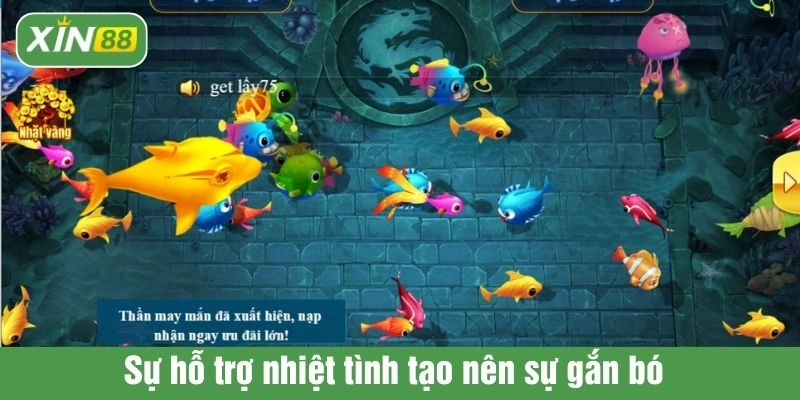 Sự hỗ trợ nhiệt tình tạo nên sự gắn bó 