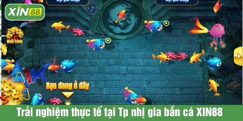 Trải nghiệm thực tế tại Tp nhị gia bắn cá XIN88 