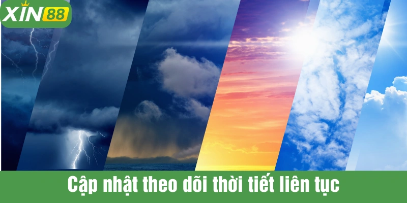 Nhà cái Xin88 có công cụ theo dõi thời tiết ngay trên nền tảng bạn có thể chưa biết