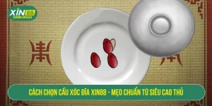 cách chọn cầu xóc đĩa