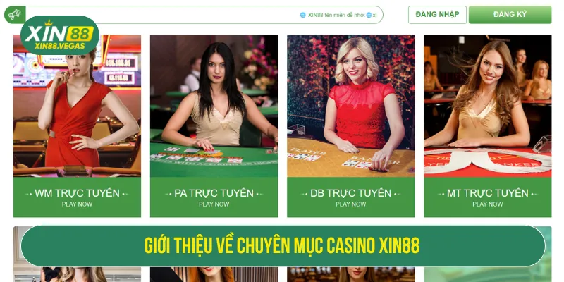 Casino là chuyên mục giải trí được yêu thích hiện nay