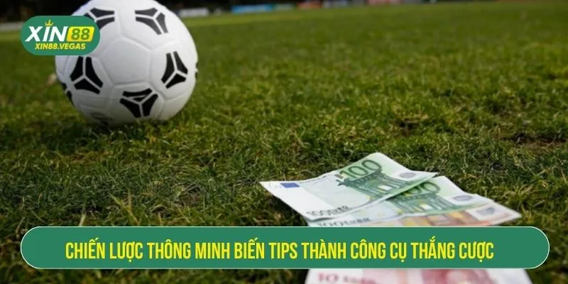 Chiến lược thông minh biến tips thành công cụ thắng cược