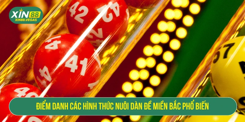 Điểm danh các hình thức nuôi dàn đề miền Bắc phổ biến