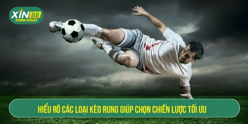 Hiểu rõ các loại kèo rung giúp chọn chiến lược tối ưu