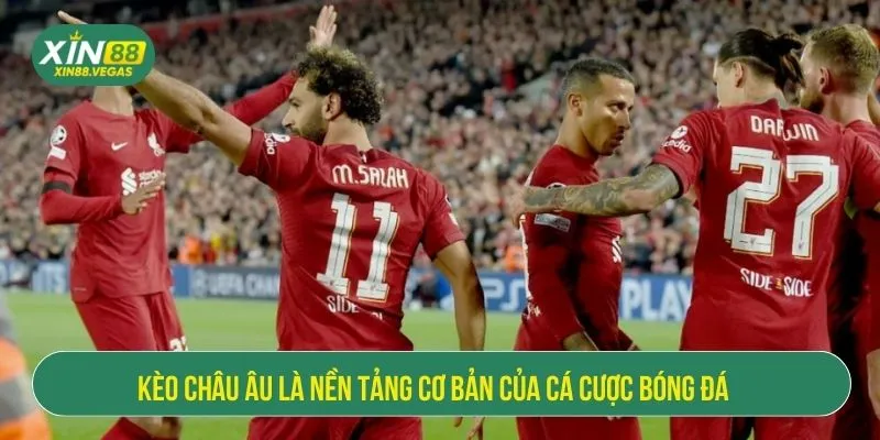 Kèo châu Âu là nền tảng cơ bản của cá cược bóng đá