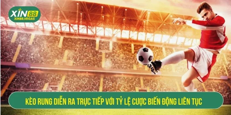 Kèo rung diễn ra trực tiếp với tỷ lệ cược biến động liên tục