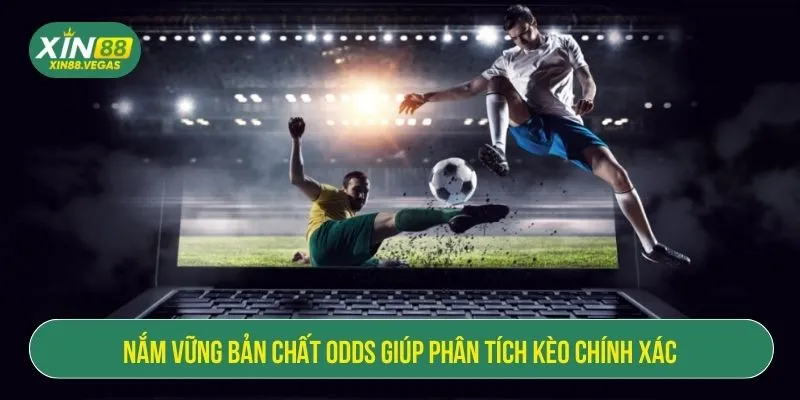 Nắm vững bản chất odds giúp phân tích kèo chính xác