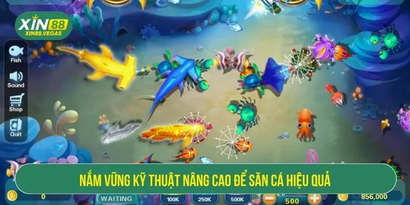 Nắm vững kỹ thuật nâng cao để săn cá hiệu quả