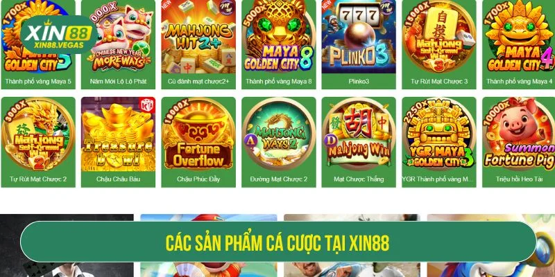 Nhà cái cung cấp cho người chơi hệ thống game đa dạng