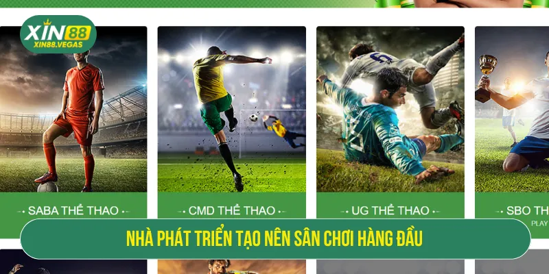 Nhà phát triển thể thao mang đến sân chơi đáng tin cậy