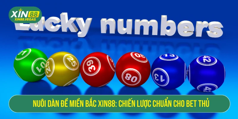 Nuôi dàn đề miền Bắc