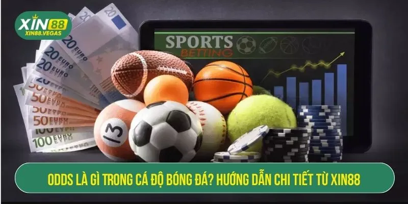 odds là gì trong cá độ bóng đá