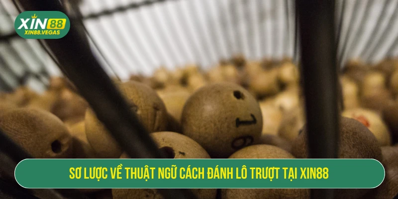 Sơ lược về thuật ngữ cách đánh lô trượt tại XIN88