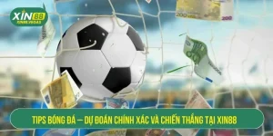 tips bóng đá