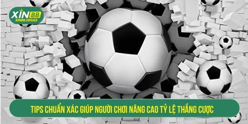 Tips chuẩn xác giúp người chơi nâng cao tỷ lệ thắng cược