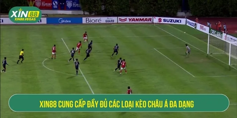 XIN88 cung cấp đầy đủ các loại kèo châu Á đa dạng